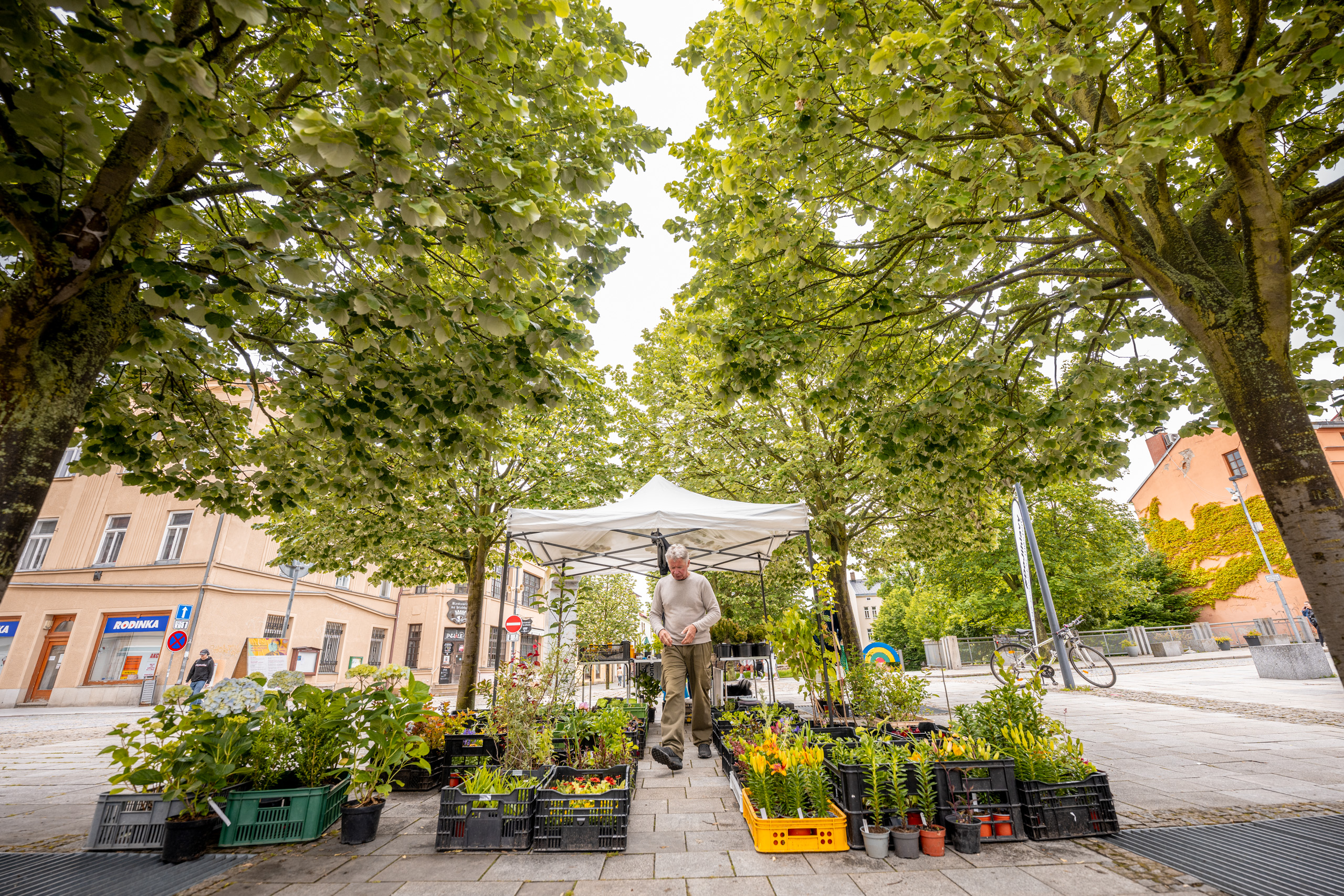 Farmářský trh 2026